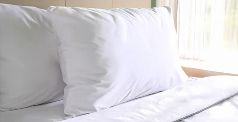 2 Oreillers Zen 50 x 70 cm + protège matelas