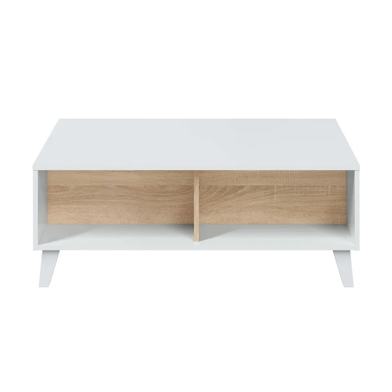 Table basse relevable scandinave avec rangements REGAL