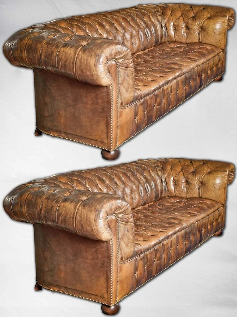 Large pair of English brown leather chesterfield sofas