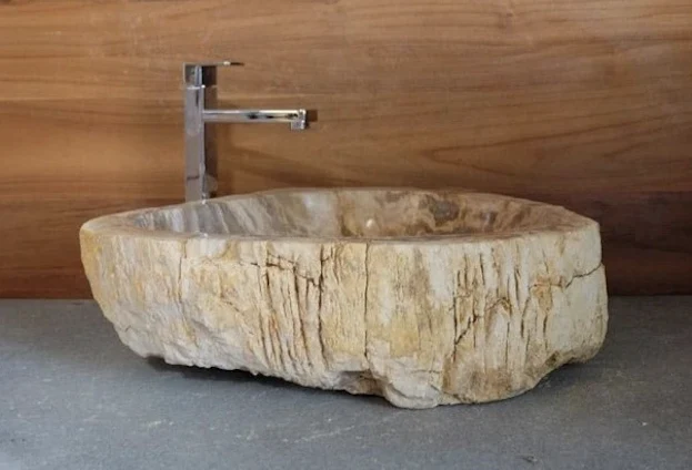 Évier en bois fossilisé