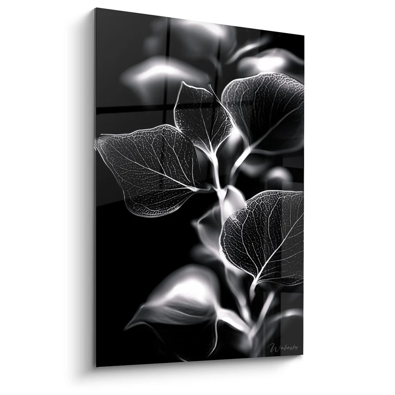 Tableau Feuilles noires et blanches nervurées lumineuses - Anatomie végétale - Edition Eucalyptus